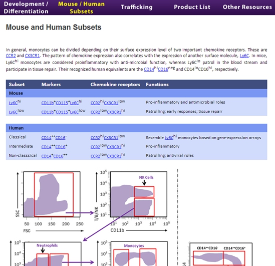 單核細(xì)胞知識版塊